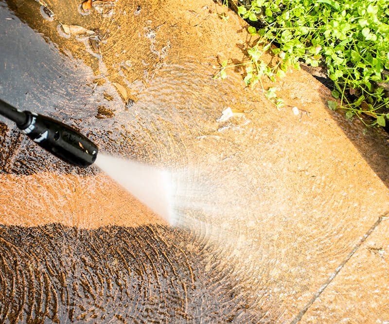 pest-control-28 Pressure Washing Blog